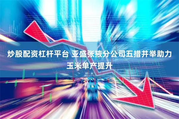 炒股配资杠杆平台 亚盛张掖分公司五措并举助力玉米单产提升