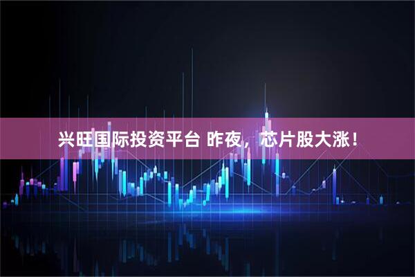 兴旺国际投资平台 昨夜，芯片股大涨！