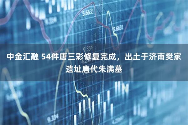 中金汇融 54件唐三彩修复完成，出土于济南樊家遗址唐代朱满墓